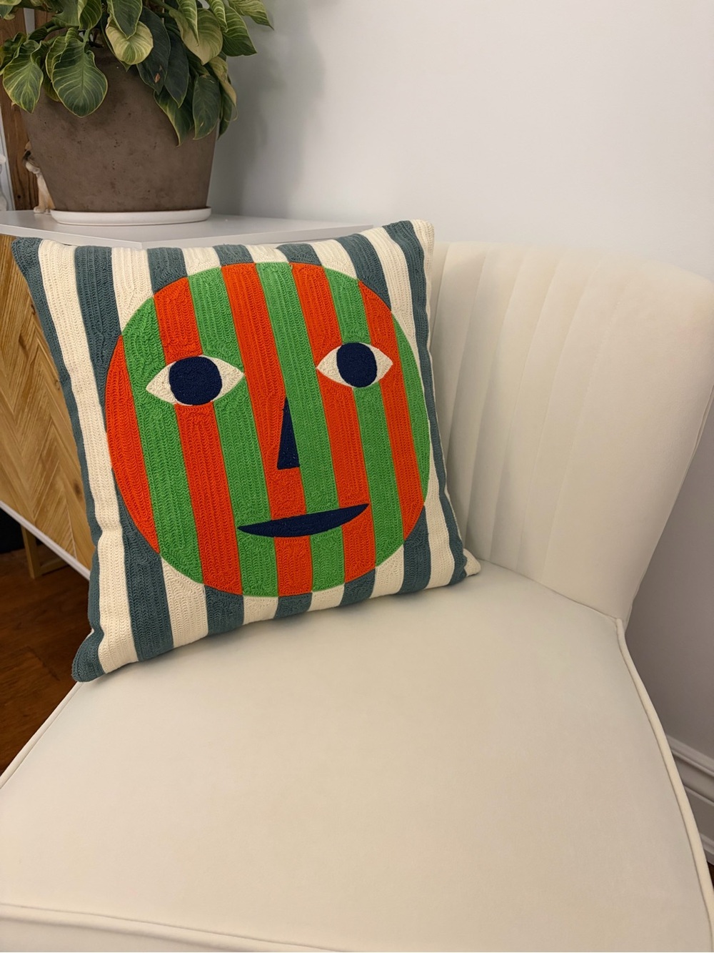 Decorative Modern Throw Pillow / Cushion
